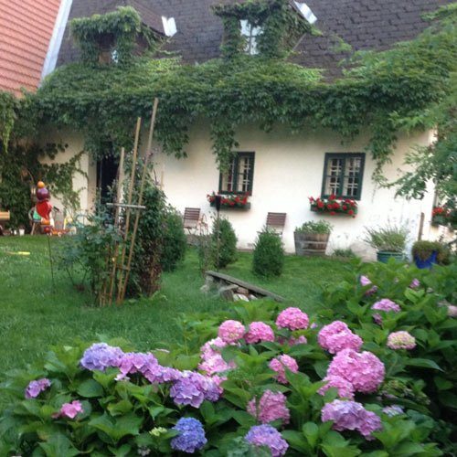 Kraftzentrum Schamanismus - wunderschönes Haus mit Garten