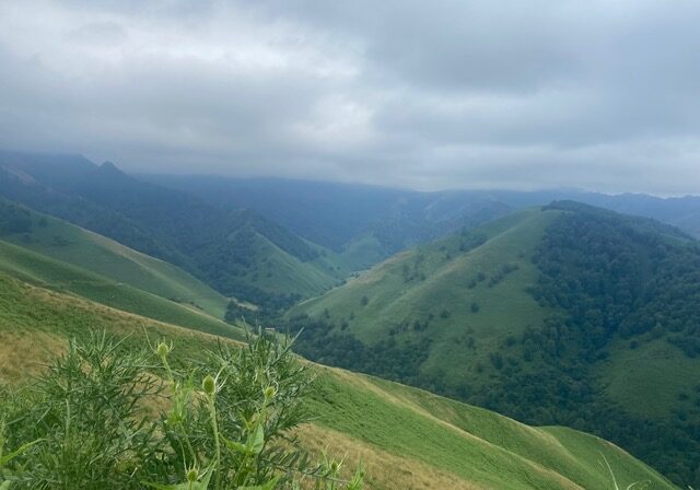 IMG_0708