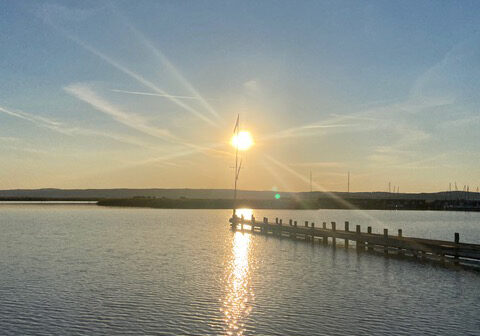 IMG_3195-1-1
