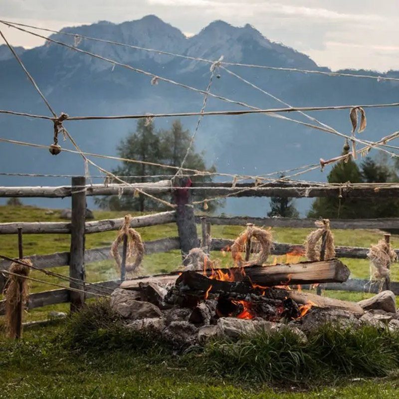 Magische-Feenalm-Workshop-Schamanismus-mobil