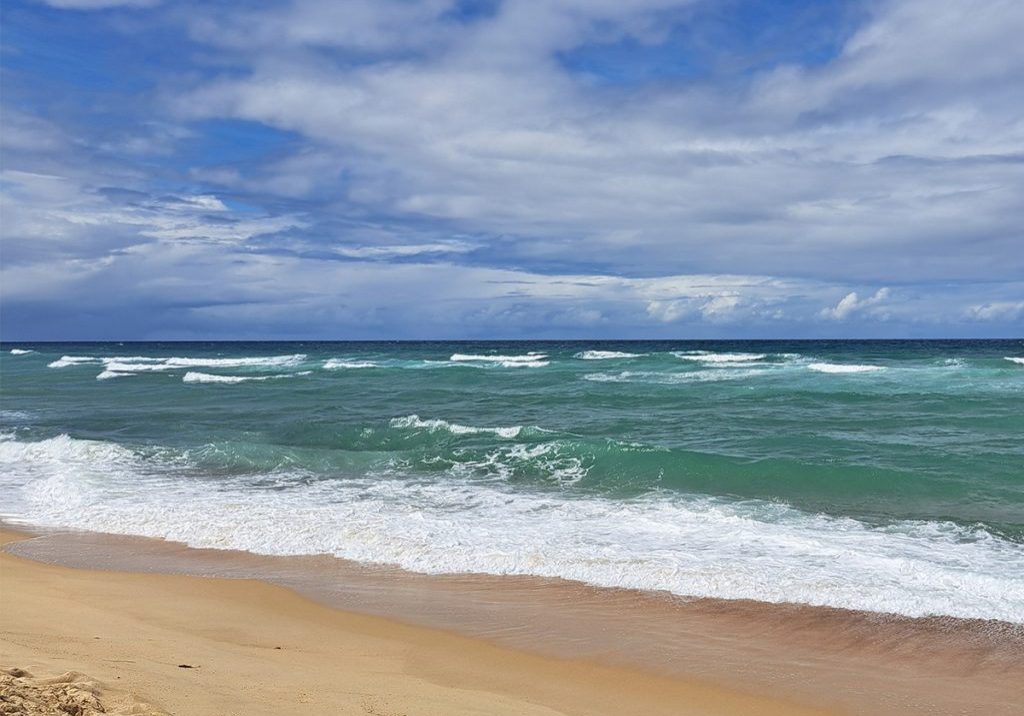 Meer-Workshop-Selbsterfahrung-Schamanisch-Jahresgruppe-2