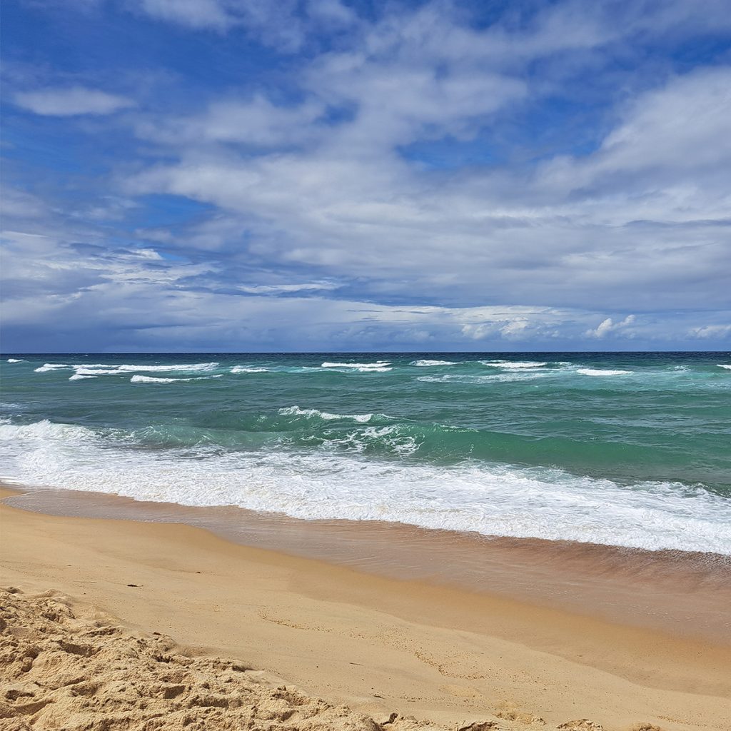 Meer-Workshop-Selbsterfahrung-Schamanisch-Jahresgruppe-2