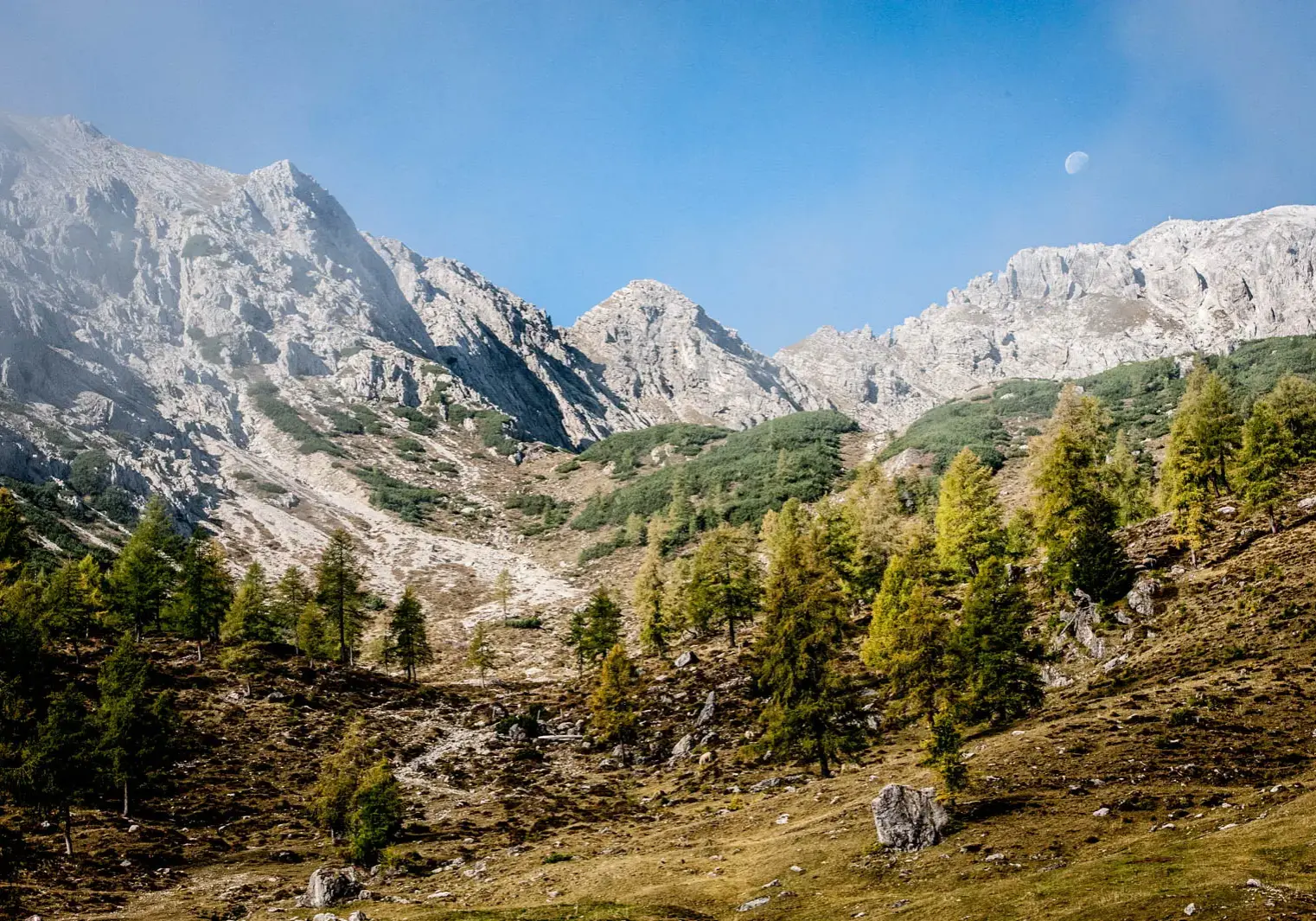 Schamanimus-oekologie-europa-Naturmagie